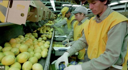 Trabaja  como Empacador  en Supermercados - Mira las Diferentes ofertas Laborales